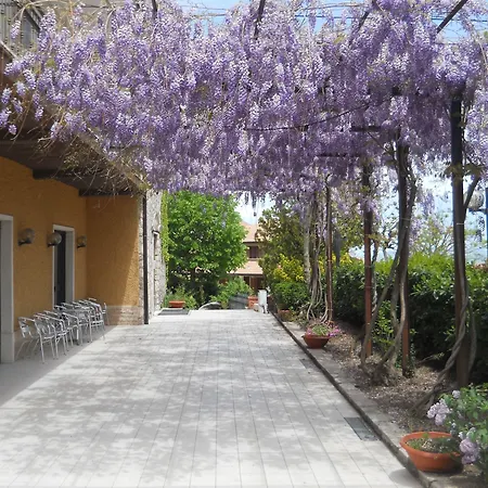 Hotel Colucci-3